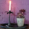 palm candle stick and rustic flower pot