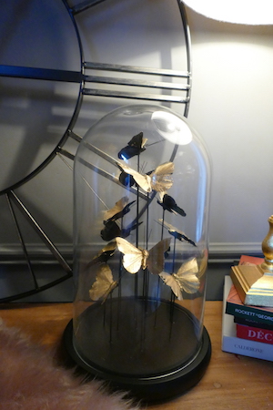 BUTTERFLY DOME LIGHT